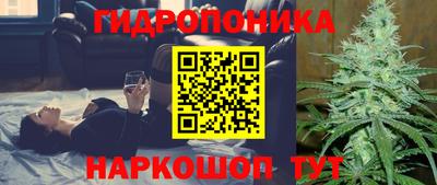 экстази Аргун