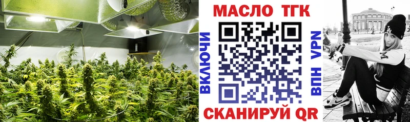 ТГК THC oil  shop официальный сайт  Ахтубинск  наркота 