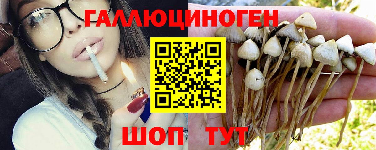 Псилоцибиновые грибы Psilocybe  Псилоцибиновые грибы Magic Shrooms  Ахтубинск 