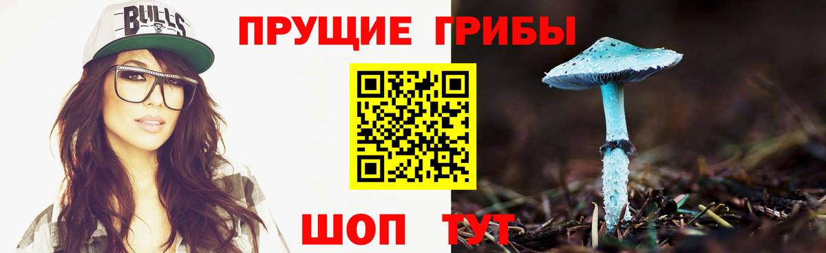 Ахтубинск  Галлюциногенные грибы Cubensis  Вход с VPN 